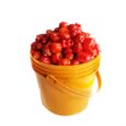 Applecart rodo paint bucket 1200-1200x1200